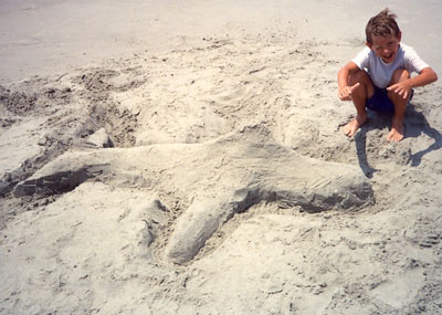 Sand Sharks